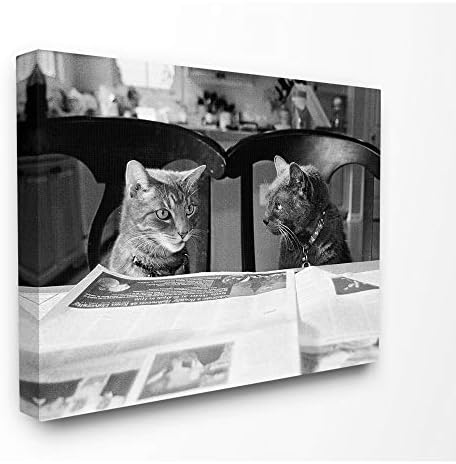 Stupell Industries Siyah Beyaz Kediler Akşam Yemeğinden Önce Dedikodu Fotoğraf Tuval Duvar Sanatı, 16 x 20, Çok Renkli