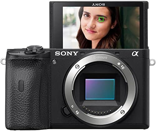 Sony a6600 Aynasız Fotoğraf Makinesi (ILCE6600 / B) + Sigma 24-70mm f / 2.8 Lens (578965) + Filtre Kiti + Renkli Filtre