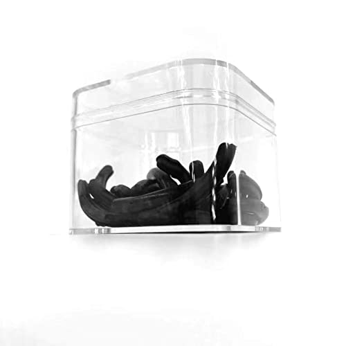 Kirpik kıvırıcı Dolum 30 Adet kirpik kıvırıcı Pedleri Kauçuk Siyah kirpik kıvırıcı Yedek Pedleri Sert saklama kutusu