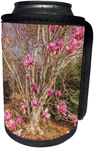 3dRose Boehm Fotoğraf Bahçesi - Güzel bir pembe çiçekli ağaç-Şişe Sargısını Soğutabilir (cc_181020_1)