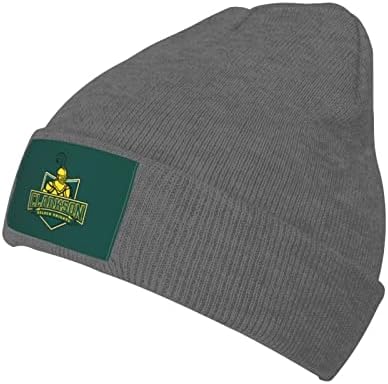 Parndeok Clarkson Üniversitesi Logo Unisex Yetişkin Örgü örgü Şapka Kap Erkekler Kadınlar için Sıcak Rahat Şapka Kap