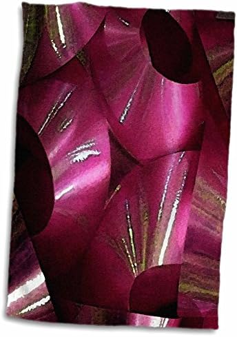 3dRose Florene Dekoratif-Yıldız Havlu (twl-8000-1)