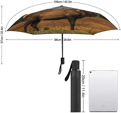 Iskoç Dolar Otomatik Şemsiye Taşınabilir Katlanır Şemsiye Anti-Uv Su Geçirmez ve Rüzgar Geçirmez Seyahat Şemsiye Otomatik