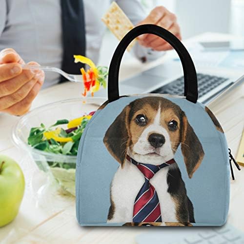 Yalıtımlı öğle yemeği çantası Kadın İş Beagle Köpek Büyük Sızdırmaz Öğle Yemeği Çantası omuz askıları ile iş için