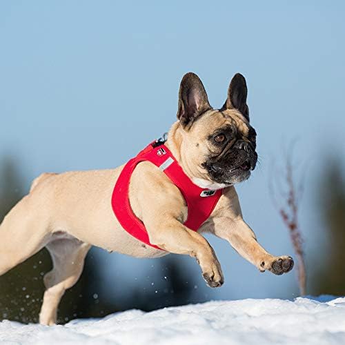 Curli Yelek Koşum Softshell Hava Örgü Astar ile Step-in Köpek Koşum Hafif Nefes Köpek Koşum Küçük Orta Köpekler için