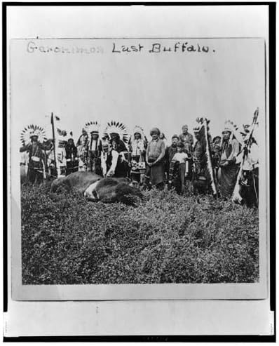 HistoricalFindings Fotoğraf: Geronimos Son Bufalo, Hala Kale, Oklahoma, Kuzey Amerika Kızılderilileri, Apaçi, c1906