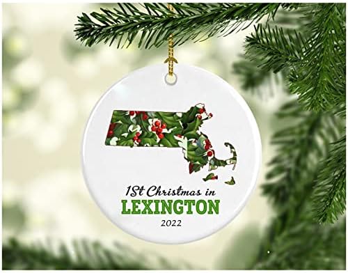 Yeni Evimizde İlk Noel 2022 Lexington Massachusetts Süs Koleksiyon 1. Sezon MA ABD'de Yaşamak Süslemeler Ağaç Eve