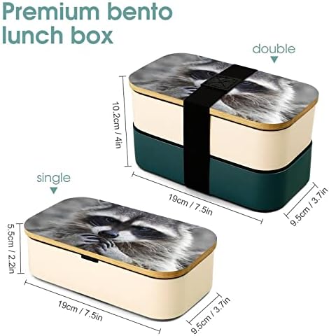 Sevimli Rakun Bento yemek kabı Sızdırmaz Bento yemek kabı gıda Kapları için 2 Bölmeli Ofis Çalışma Piknik