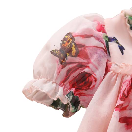 Güzel Çiçekler Kısa Kollu Prenses Elbise 3M-6M / Açık Pembe