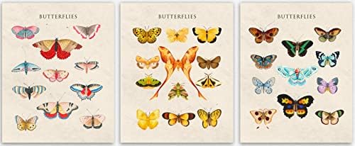 Botanik Dekor ve Kelebek Duvar Sanatı 3'lü Set Fildişi Banyo Duvar Dekoru-Kelebek Odası Dekoru ve Ev Dekoru / Renkli