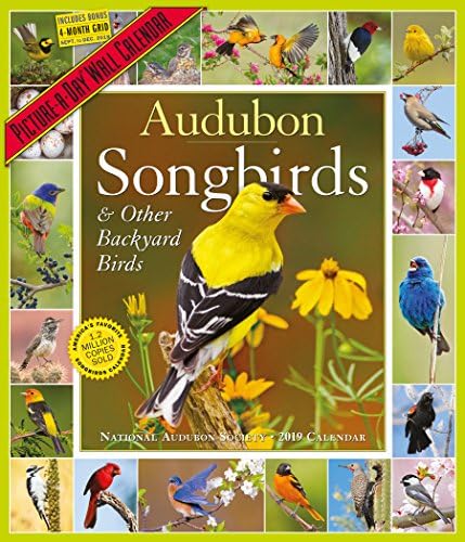 Audubon Ötücü Kuşları ve Diğer Arka Bahçe Kuşları Günde Resim Takvimi 2019