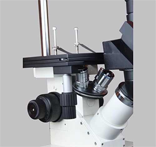Radikal Ters Doku Kültürü Tıbbi Canlı Hücre Klinik Mikroskop w 3Mpix USB Kamera