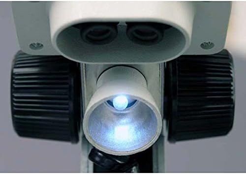 AmScope Çocuklar SE100-LED Taşınabilir Binoküler Stereo Mikroskop, WF10x Oküler, 20X Büyütme, led ışık Kaynağı, Geri
