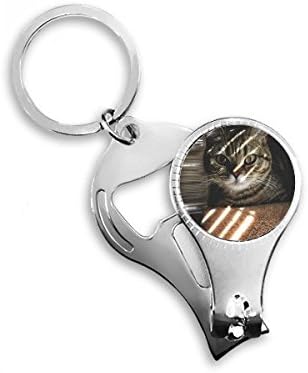 Hayvan kedi Ray fotoğraf çekimi tırnak makası yüzük Anahtarlık şişe açacağı Clipper