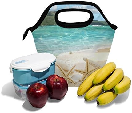 HEOEH Plaj Deniz Kabukları Denizyıldızı Öğle Yemeği soğutucu çanta Tote Çanta Yalıtımlı Fermuar Öğle Yemeği Kutuları