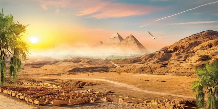 Yeele 20x10ft Piramit Çöl Zemin Hindistan Cevizi Ağaçları Güneş Doğa Manzaralı Fotoğraf Arka Plan Antik Uygarlık Ülke