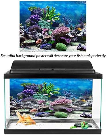 Akvaryum Arka Plan Posteri, Balık Tankı Süslemeleri Resimleri 3D Etkisi PVC Yapışkanlı Poster Sualtı Mercan Resif