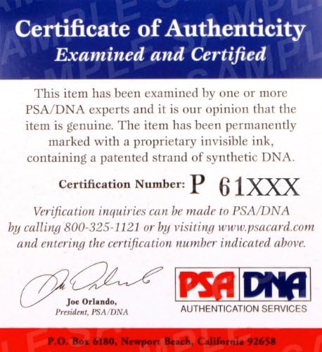 Cat Zingano, Resmi UFC Dövüş Eldiveni PSA/DNA COA İmzasını İmzaladı 200 184 178 17 - İmzalı UFC Eldivenleri